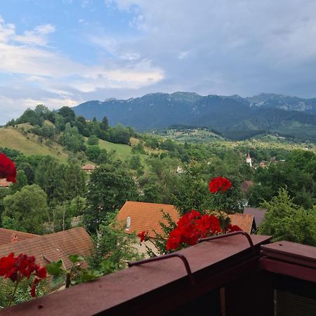 Vila Muntii Bucegi & Spa 브란 외부 사진