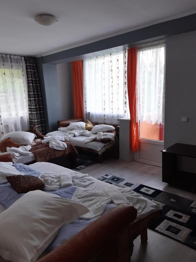 Vila Muntii Bucegi & Spa 브란 외부 사진