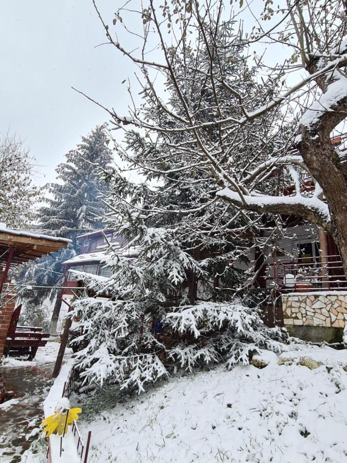 Vila Muntii Bucegi & Spa 브란 외부 사진