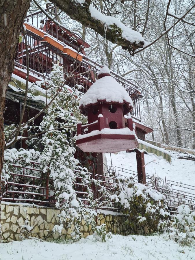 Vila Muntii Bucegi & Spa 브란 외부 사진