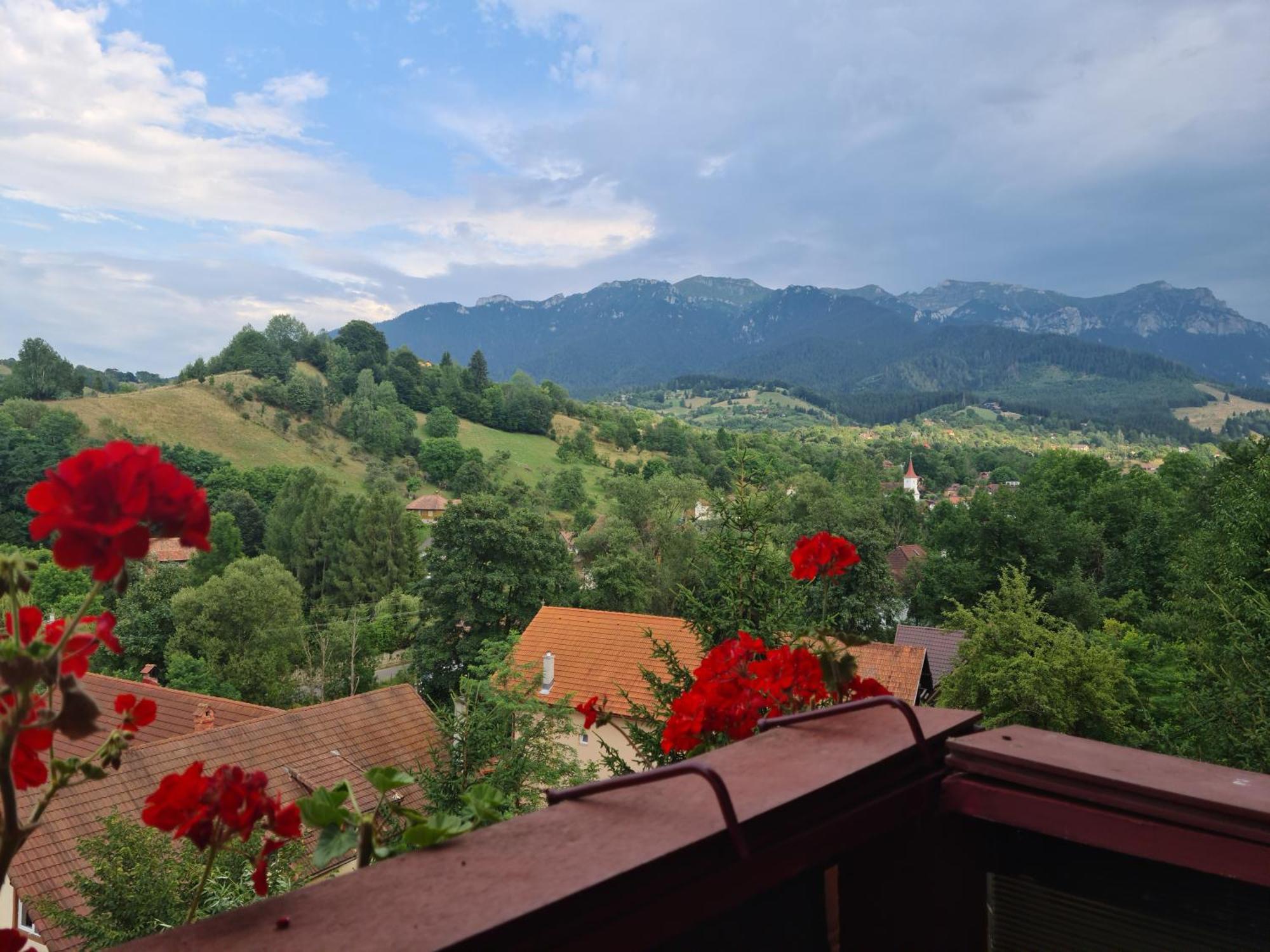 Vila Muntii Bucegi & Spa 브란 외부 사진