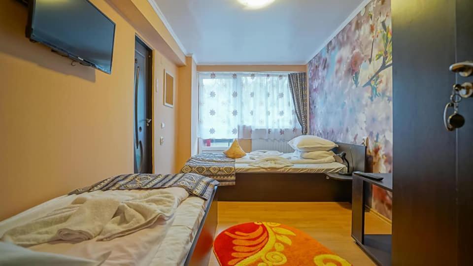 Vila Muntii Bucegi & Spa 브란 외부 사진