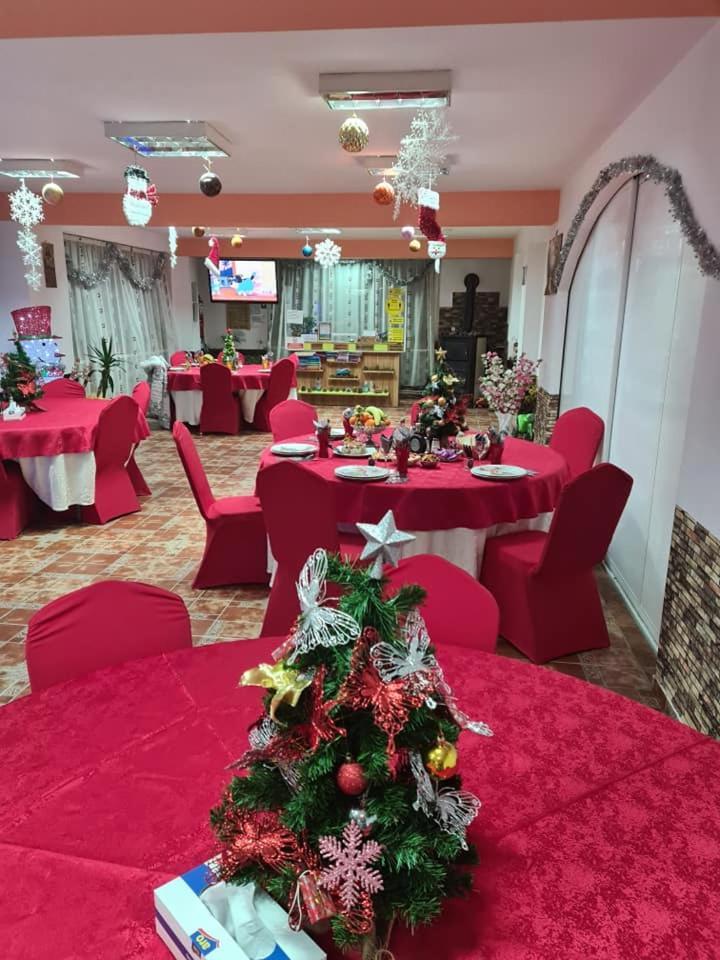 Vila Muntii Bucegi & Spa 브란 외부 사진