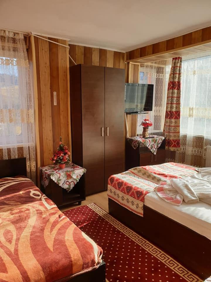 Vila Muntii Bucegi & Spa 브란 외부 사진