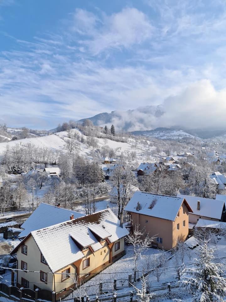 Vila Muntii Bucegi & Spa 브란 외부 사진
